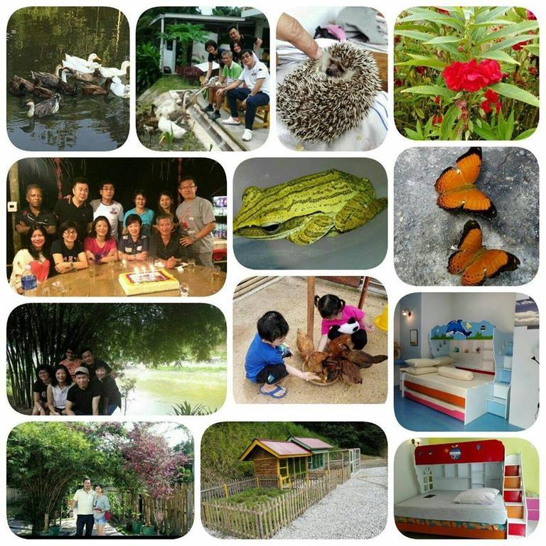 Hulu Langat Home Stay Eco Farm / 自然生态休闲度假屋 - Kuala Lumpur, Kuala Lumpur